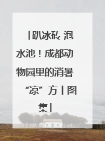 趴冰砖 泡水池！成都动物园里的消暑“凉”方丨图集